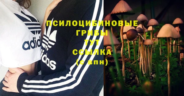 прущая мука Верея